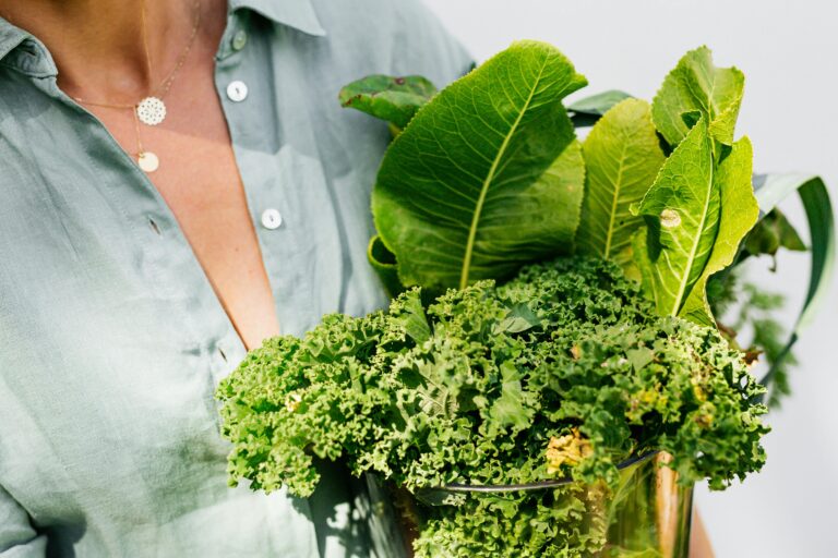 Plant-Based Wellness Living: A Complete Guide to Healthier and More Sustainable Lifestyle Choices