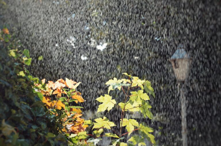 Smart Weather Sensors for Gardens: The Future of Smarter and Healthier Gardening