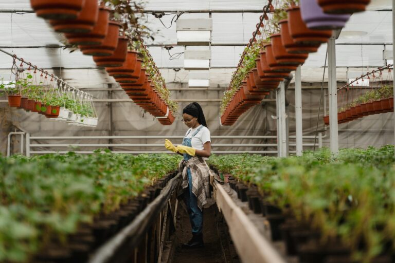 Home Automation for Gardening: Smart Technology for a Healthier and Easier Garden